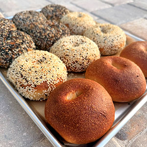 DoughJoe Bagels