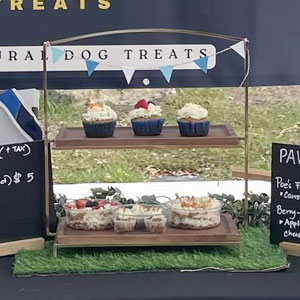 Poe’s Pupcakes & Treats